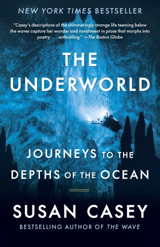 Cover image: The Underworld 9780385545570