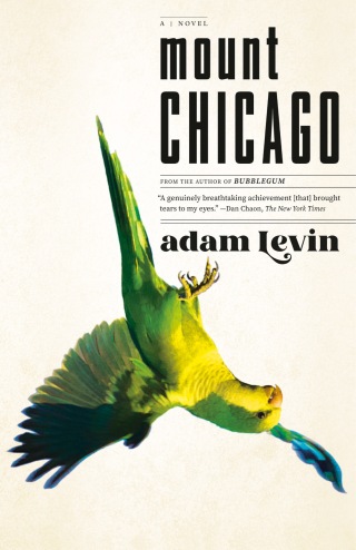 Cover image: Mount Chicago 9780385548243