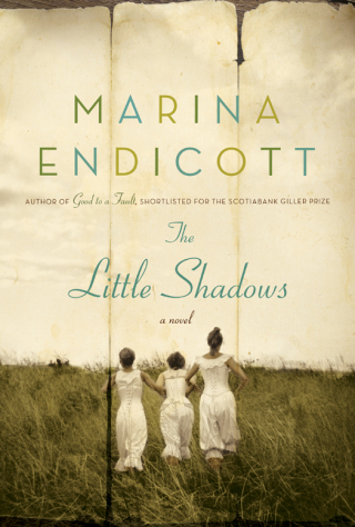 Cover image: The Little Shadows 9780385668910