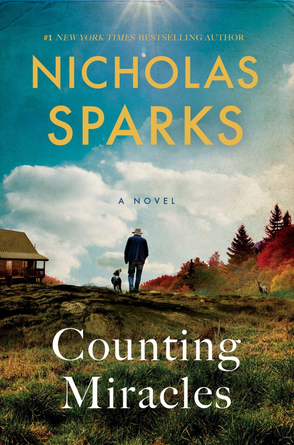Counting Miracles (eBook)
