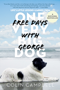 Cover image: Free Days With George 9780385682886