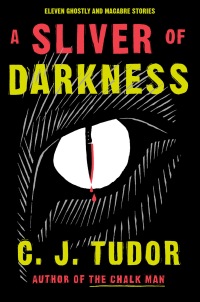 Cover image: A Sliver of Darkness 9780385684446