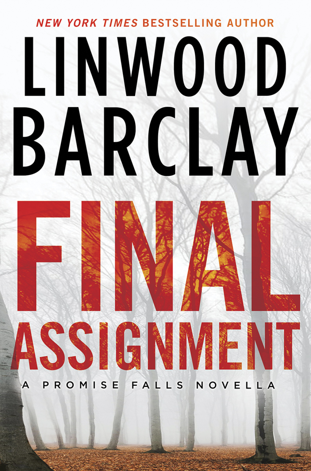 Final Assignment (eBook)
