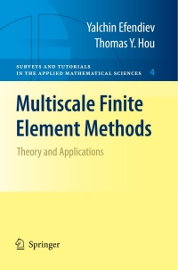 表紙画像: Multiscale Finite Element Methods 9780387094953