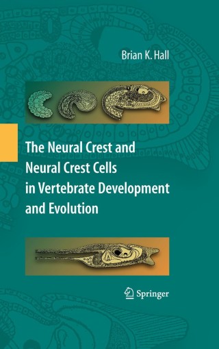 Cover image: The Neural Crest and Neural Crest Cells in Vertebrate Development and Evolution 2nd edition 9781441935427