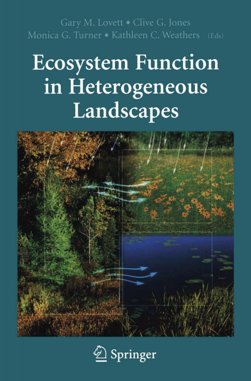 Ecosystem Function in Heterogeneous Landscapes 1st Edition