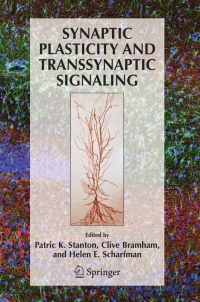Cover image: Synaptic Plasticity and Transsynaptic Signaling 1st edition 9780387240084