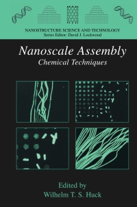 Cover image: Nanoscale Assembly 1st edition 9780387236087