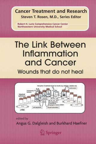 Omslagafbeelding: The Link Between Inflammation and Cancer 1st edition 9780387262826