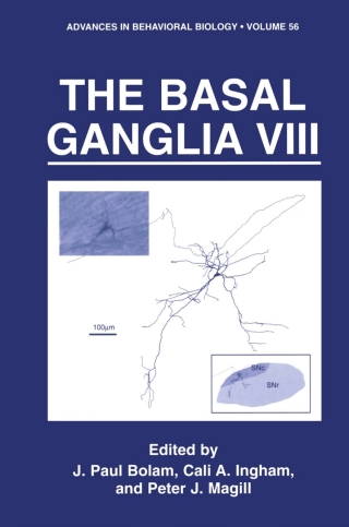 Imagen de portada: The Basal Ganglia VIII 9780387280653