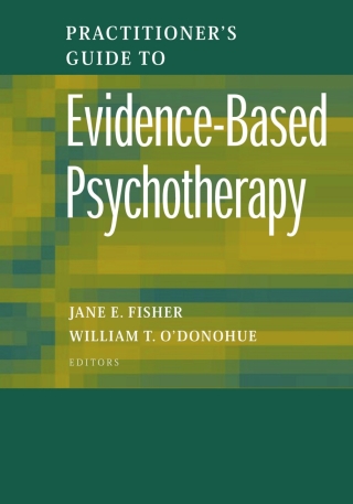 Titelbild: Practitioner's Guide to Evidence-Based Psychotherapy 1st edition 9780387283692