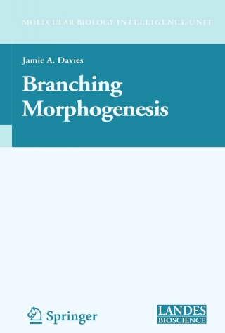 Immagine di copertina: Branching Morphogenesis 1st edition 9780387256153