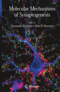 Cover image: Molecular Mechanisms of Synaptogenesis 1st edition 9780387325606