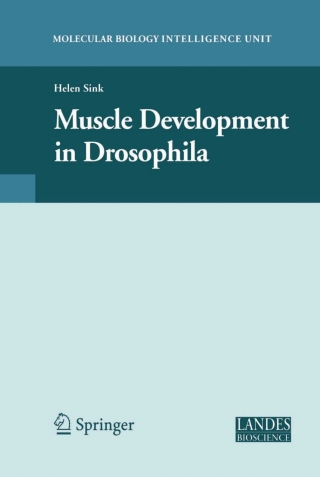 Cover image: Muscle Development in Drosophilia 9780387300535