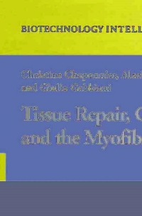 Immagine di copertina: Tissue Repair, Contraction and the Myofibroblast 1st edition 9780387336497