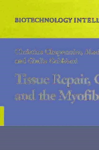 Cover image: Tissue Repair, Contraction and the Myofibroblast 1st edition 9780387336497