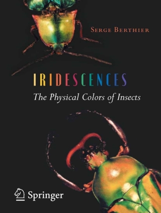 表紙画像: Iridescences 9780387341194