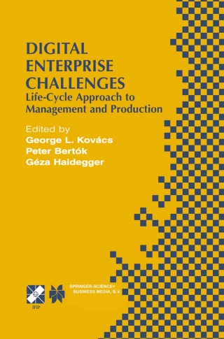 Cover image: Digital Enterprise Challenges 1st edition 9780387354927