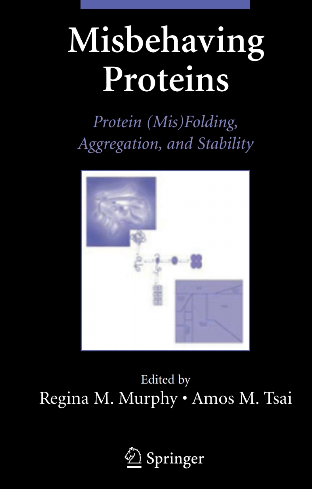 Misbehaving Proteins Protein (Mis)Folding, Aggregation, and Stability 1st Edition