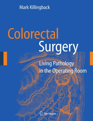 Imagen de portada: Colorectal Surgery 9780387880334