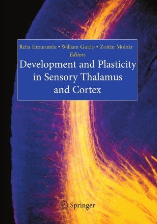 Cover image: Development and Plasticity in Sensory Thalamus and Cortex 1st edition 9780387317984