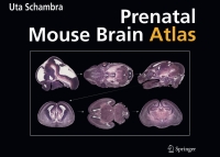 Cover image: Prenatal Mouse Brain Atlas 9780387470894