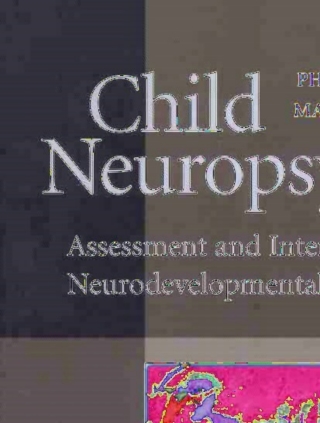 Cover image: Child Neuropsychology 9780387476704