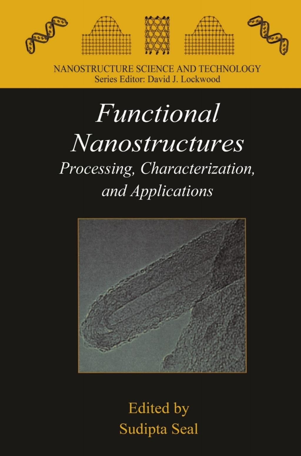 Functional Nanostructures Processing, Characterization, and Applications 1st Edition