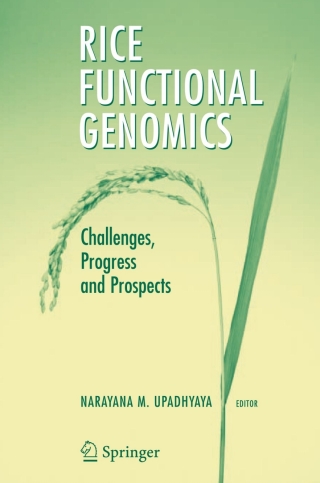 Cover image: Rice Functional Genomics 1st edition 9780387489032