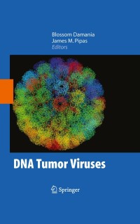 Imagen de portada: DNA Tumor Viruses 1st edition 9780387689449
