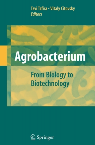 Cover image: Agrobacterium: From Biology to Biotechnology 1st edition 9780387722894