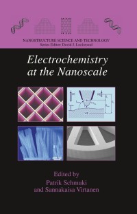 Titelbild: Electrochemistry at the Nanoscale 1st edition 9780387735818