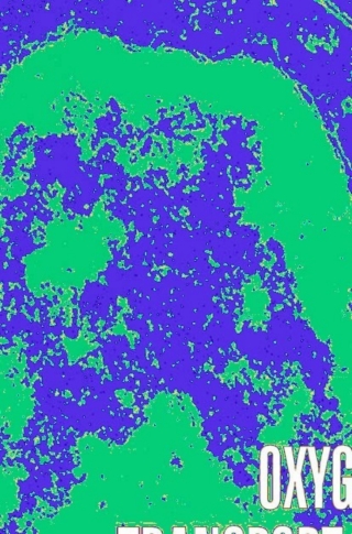 Cover image: Oxygen Transport to Tissue XXIX 1st edition 9780387749105