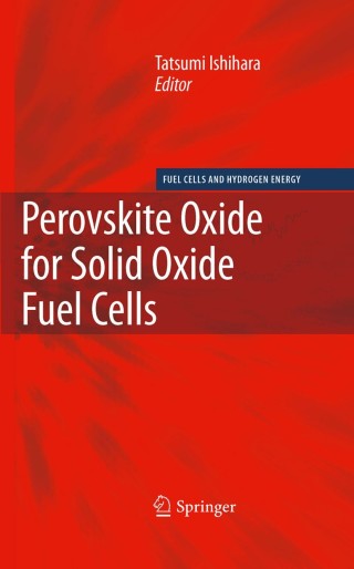 Imagen de portada: Perovskite Oxide for Solid Oxide Fuel Cells 1st edition 9780387777078