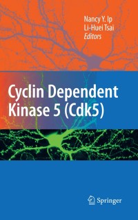 Cover image: Cyclin Dependent Kinase 5 (Cdk5) 1st edition 9780387788869
