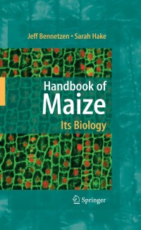 Imagen de portada: Handbook of Maize: Its Biology 1st edition 9780387794174