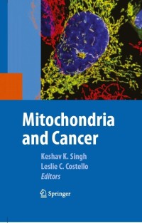 Omslagafbeelding: Mitochondria and Cancer 1st edition 9780387848341