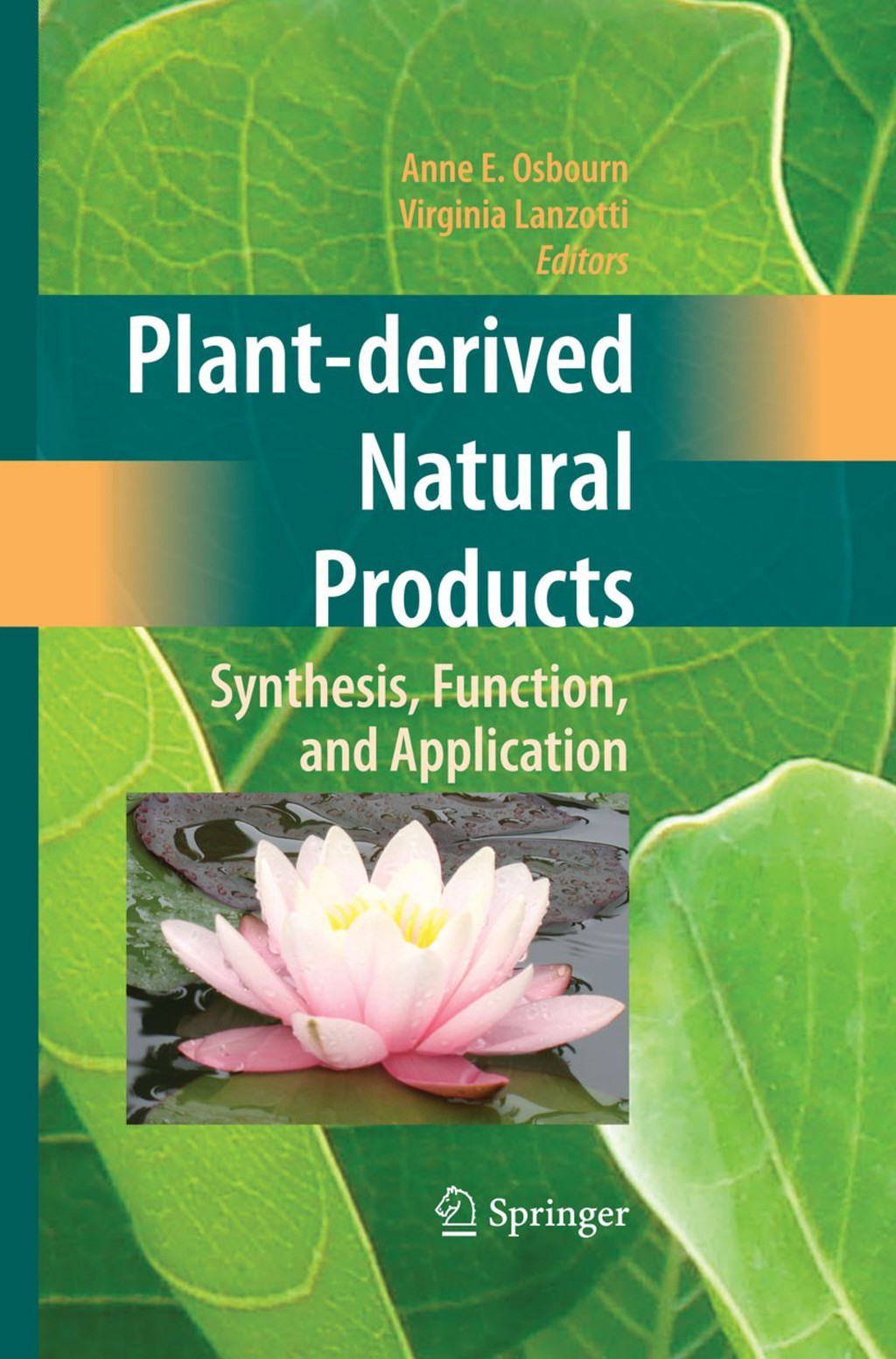 Plant-derived Natural Products Synthesis, Function, and Application
