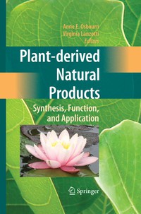 Cover image: Plant-derived Natural Products 9780387854977