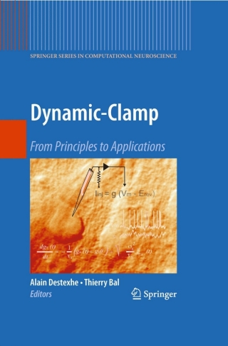 Immagine di copertina: Dynamic-Clamp 9780387892788