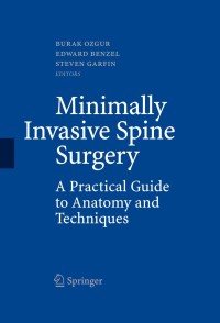 Imagen de portada: Minimally Invasive Spine Surgery 1st edition 9780387898308