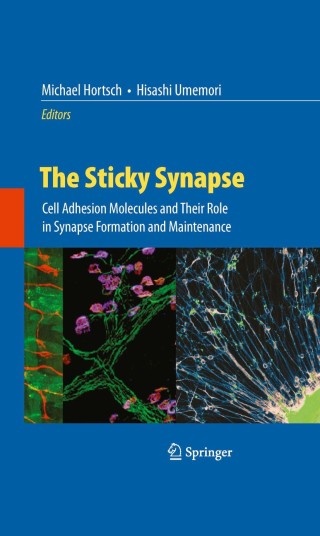 Imagen de portada: The Sticky Synapse 1st edition 9780387927077