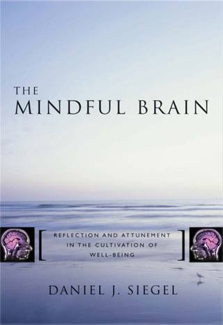 Cover image: The Mindful Brain: Reflection and Attunement in the Cultivation of Well-Being (Norton Series on Interpersonal Neurobiology) 9780393704709