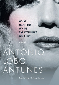 Imagen de portada: What Can I Do When Everything's On Fire?: A Novel 9780393329483