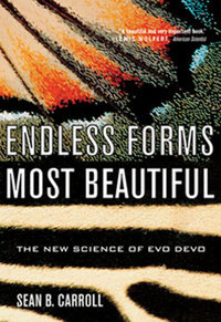 Imagen de portada: Endless Forms Most Beautiful: The New Science of Evo Devo 9780393327793