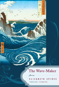 Omslagafbeelding: The Wave-Maker: Poems 9780393066593