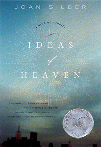 Omslagafbeelding: Ideas of Heaven: A Ring of Stories 9780393326871