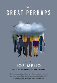 Titelbild: The Great Perhaps: A Novel 9780393304565