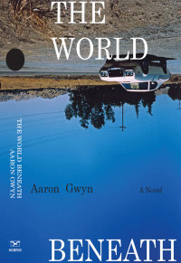 Cover image: The World Beneath: A Novel 9780393067231
