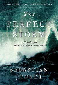 Imagen de portada: The Perfect Storm: A True Story of Men Against the Sea 9780393337013